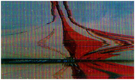 Video Scans