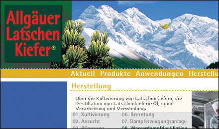 Latschenkiefer