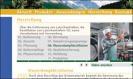 Latschenkiefer
